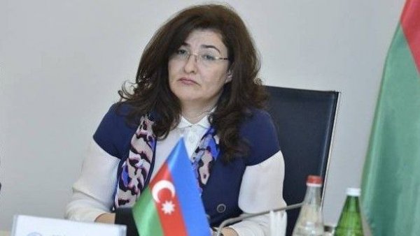 İqtisadiyyat nazirinin müavini Sevinc Həsənova vəzifəsindən azad edilib.